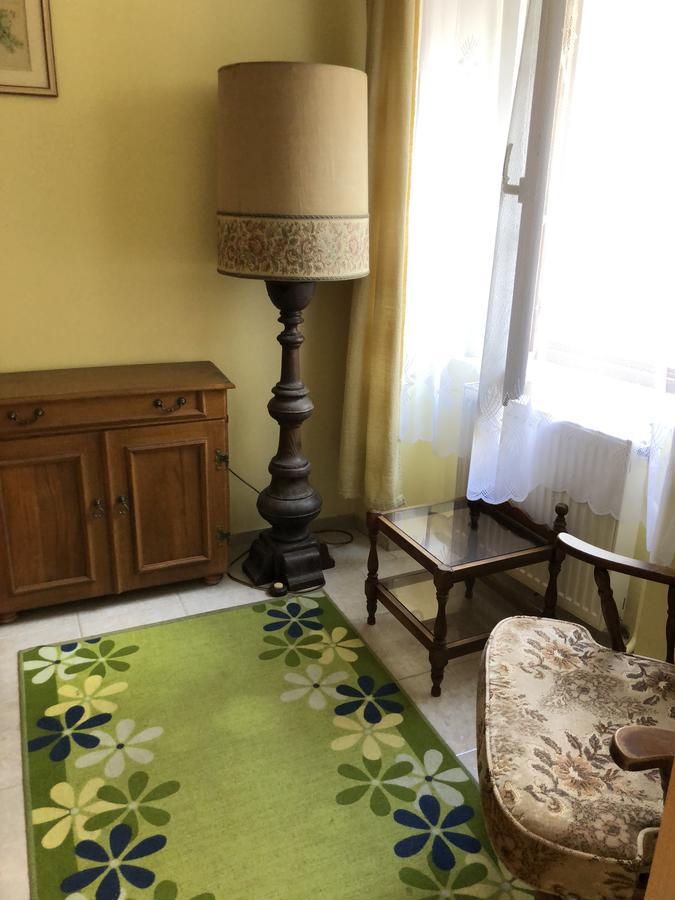 Guest House U Náhonu Chrudim Extérieur photo